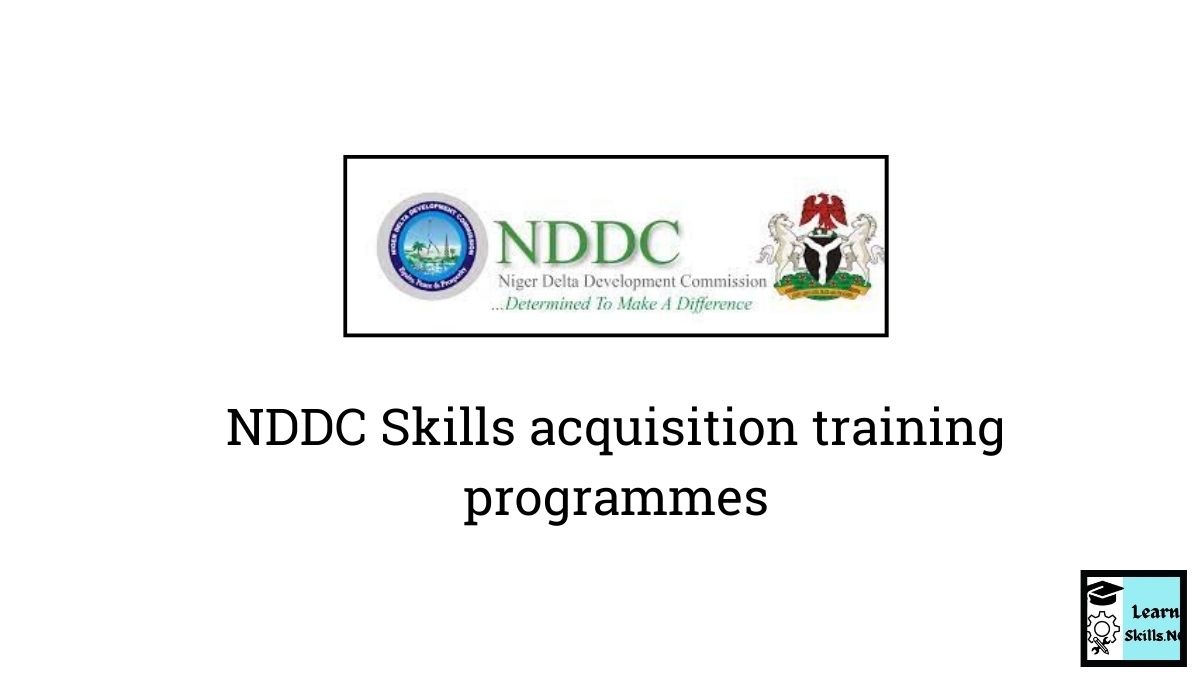 Nddc Skills Acquisition Training Programmes