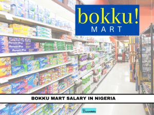 SOFTWARE ENGINEER SALARY IN NIGERIA MONTHLY visual data 6