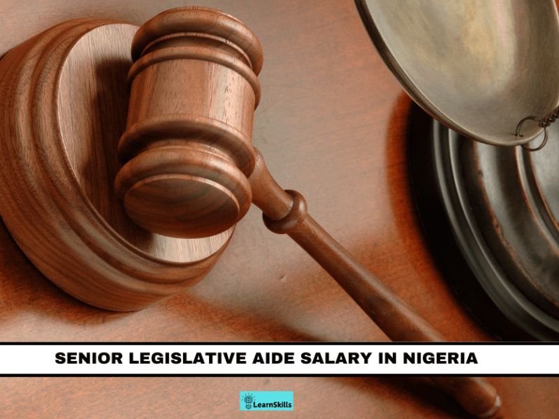 SENIOR LEGISLATIVE AIDE SALARY IN NIGERIA