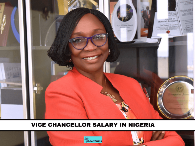 VICE CHANCELLOR SALARY IN NIGERIA