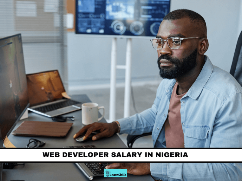 WEB DEVELOPER SALARY IN NIGERIA